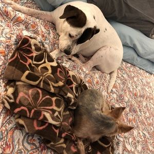 Meet your Posher, Barbara